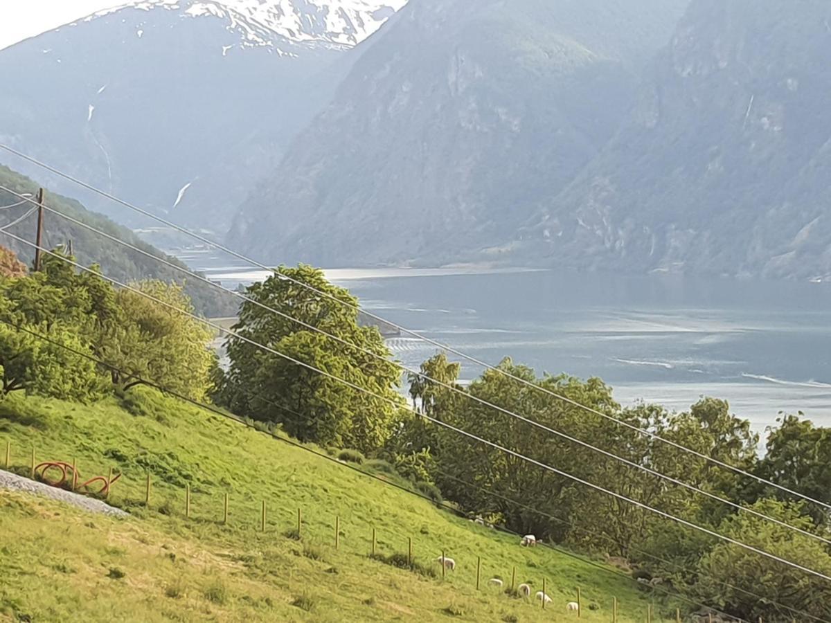 Kvam - Stegastein Apartment Aurland Ngoại thất bức ảnh