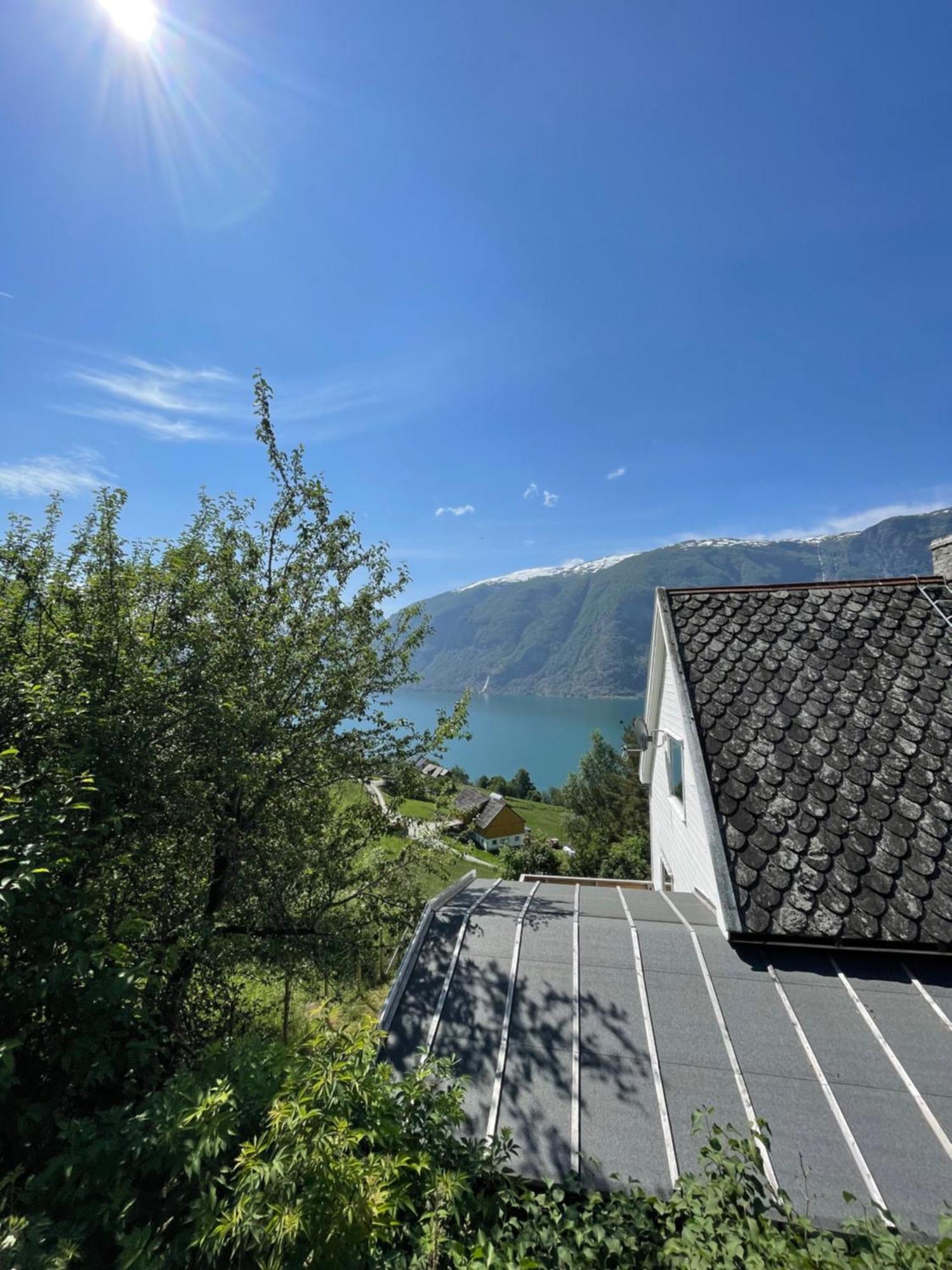 Kvam - Stegastein Apartment Aurland Ngoại thất bức ảnh