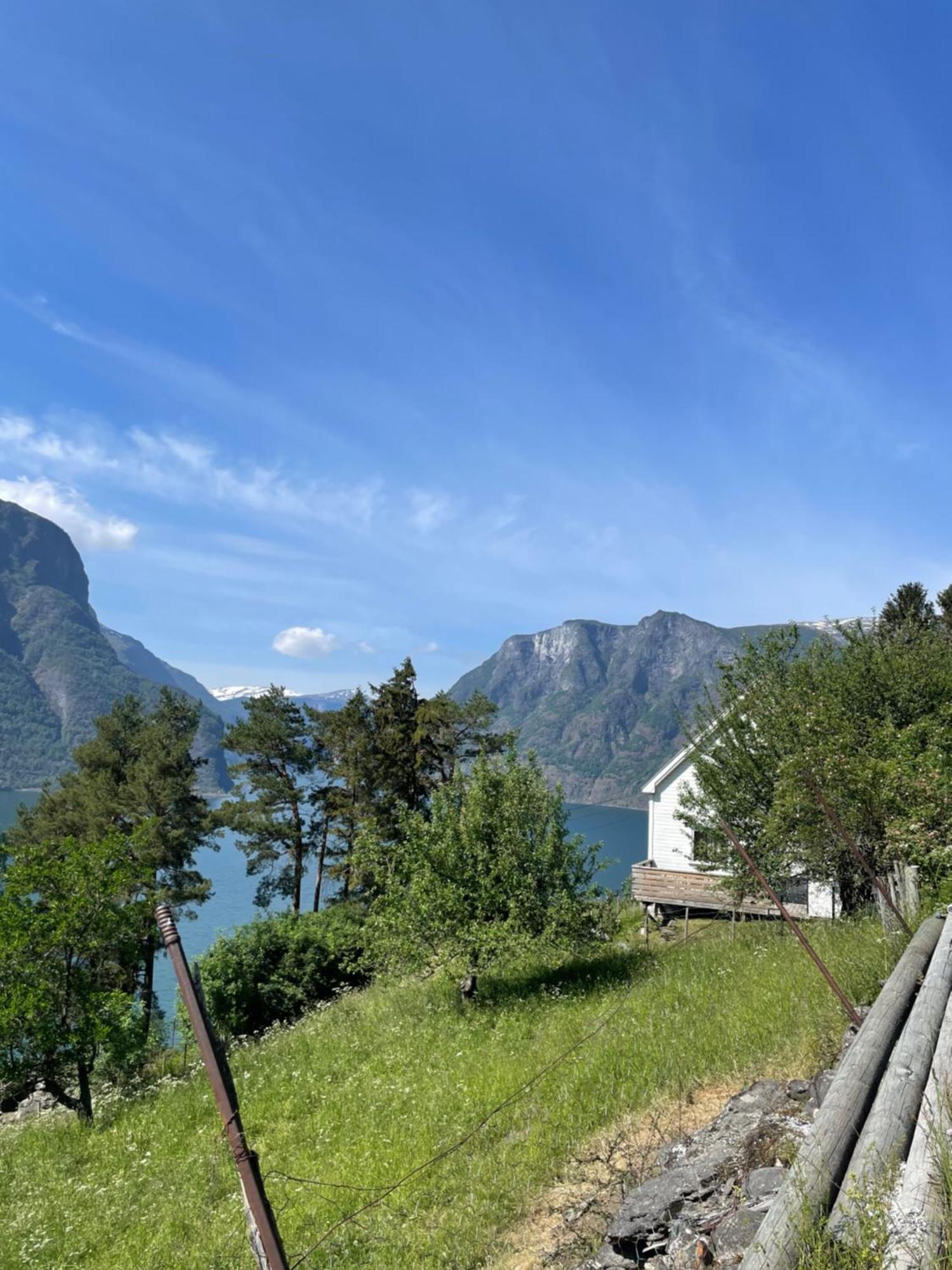 Kvam - Stegastein Apartment Aurland Ngoại thất bức ảnh